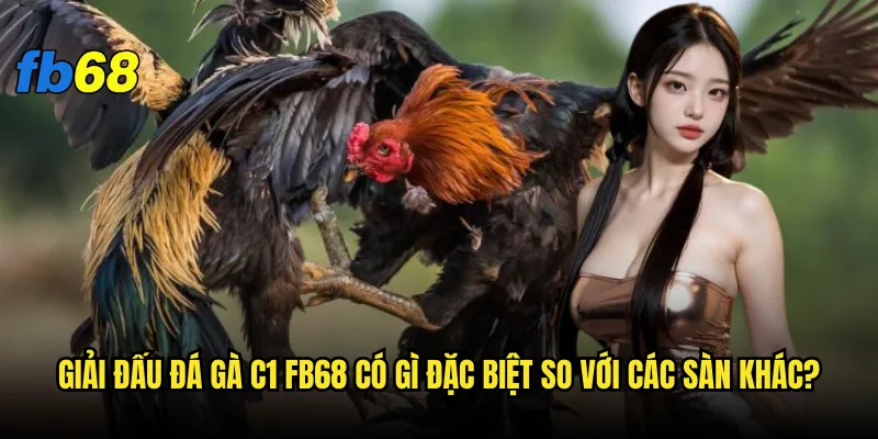 Đá gà C1 tại fb68 có thực sự mang đến trải nghiệm đỉnh cao? 2 Giải đấu đá gà C1 fb68 có gì đặc biệt so với các sàn khác?