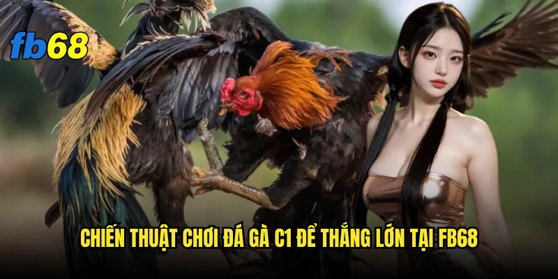 Đá gà C1 tại fb68 có thực sự mang đến trải nghiệm đỉnh cao? 3 Chiến thuật chơi đá gà C1 để thắng lớn tại fb68
