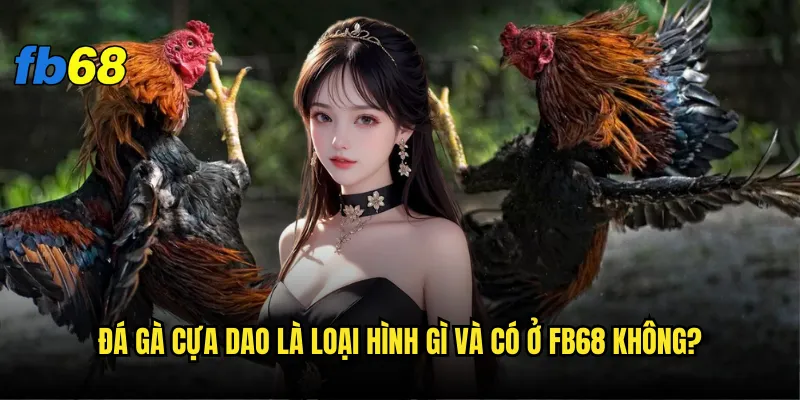Đá gà cựa dao là loại hình gì và có ở fb68 không?