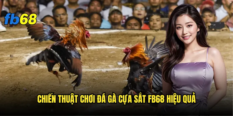 Đá gà cựa sắt fb68 có phải là lựa chọn tốt nhất? 3 Chiến thuật chơi đá gà cựa sắt fb68 hiệu quả