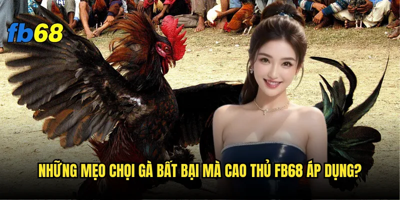 Mẹo chọi gà bất bại fb68 - Có thực sự tồn tại không? 2 Những mẹo chọi gà bất bại mà cao thủ fb68 áp dụng?