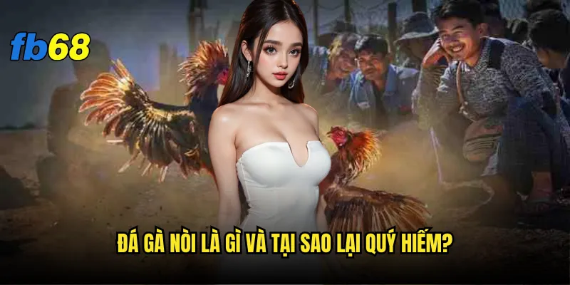 Đá gà nòi fb68 - Vì sao được mệnh danh là 2 Đá gà nòi là gì và tại sao lại quý hiếm?