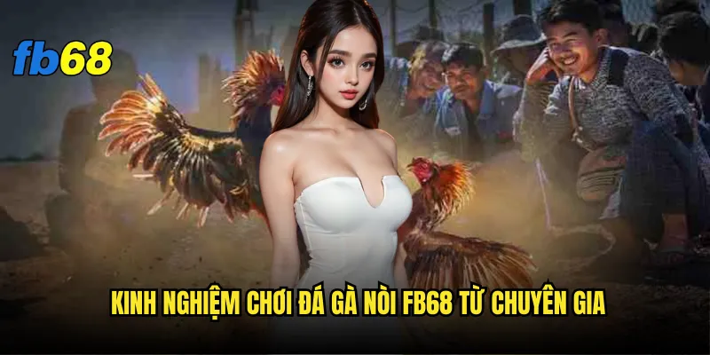 Đá gà nòi fb68 - Vì sao được mệnh danh là 3 Kinh nghiệm chơi đá gà nòi fb68 từ chuyên gia