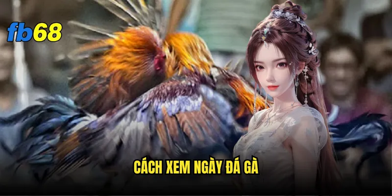 Cách xem ngày đá gà fb68 - Làm sao để chọn ngày may mắn? 9 cách xem ngày đá gà