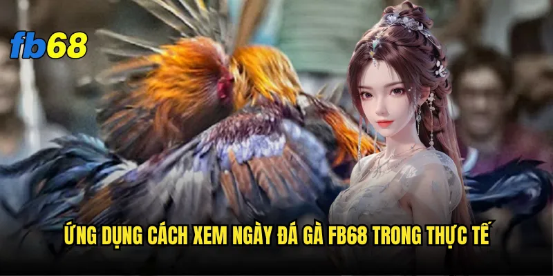 Ứng dụng cách xem ngày đá gà fb68 trong thực tế